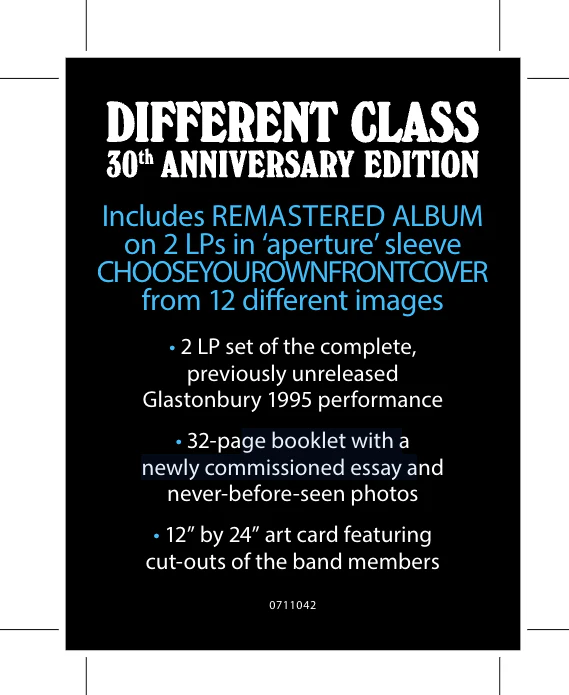 Different Class 30th Anniversary 4LP + Sticker Sheet - Image 5